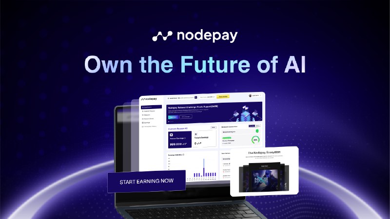 Nodepay: Track your earnings
